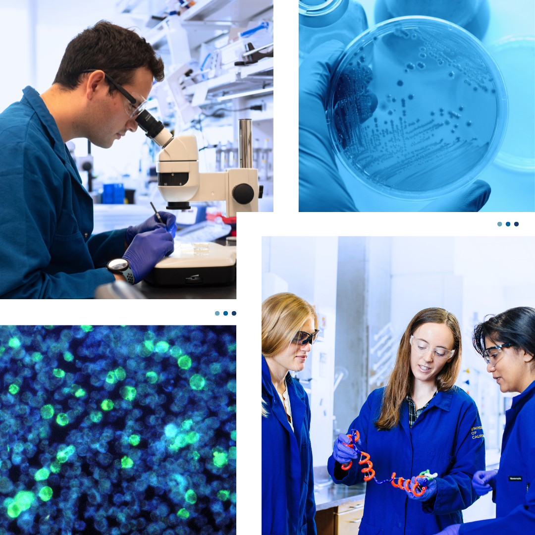 collage of students and lab work