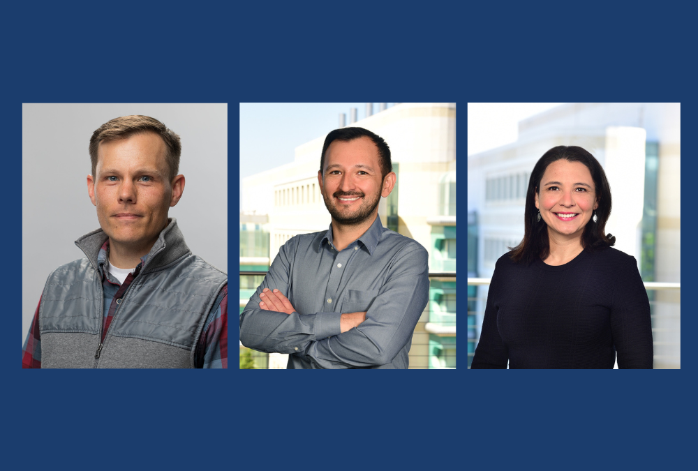 10 UC Irvine faculty members named Hellman Fellows for 2024-25